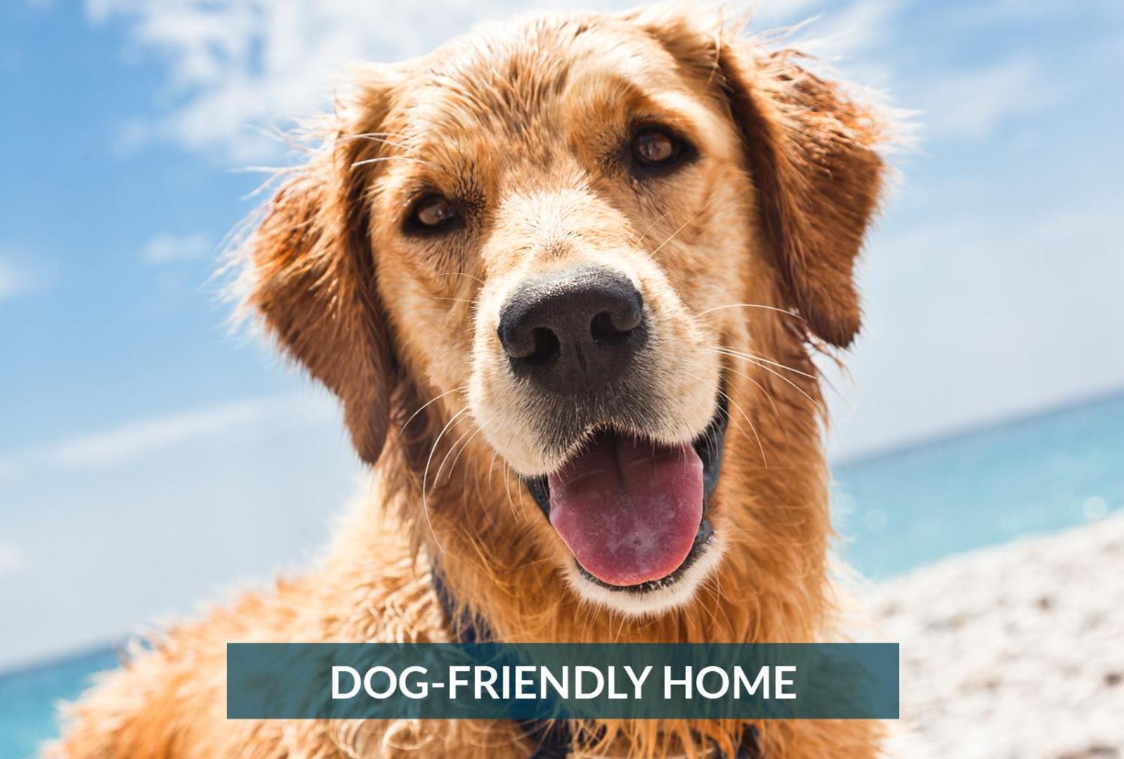 5508 Southern Comfort Dog Friendly Shared Pool Kill Devil Hills Eksteriør billede